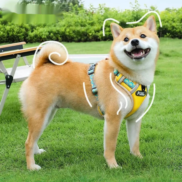 Discover the Ultimate Walking Experience with Our Pet Large Walking Dog Leash