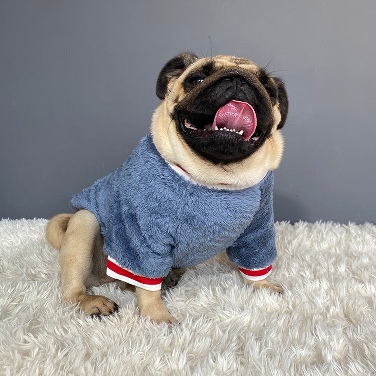 The Perfect Pet Sweater for Your Furry Friend