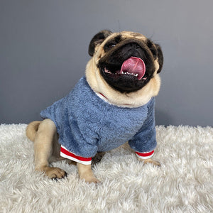 The Perfect Pet Sweater for Your Furry Friend