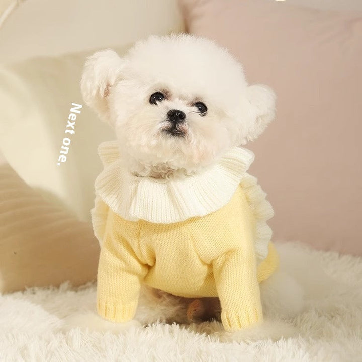 Autumn Pet Puppy Puppy Sweater - A Must-Have for Your Furry Friend!