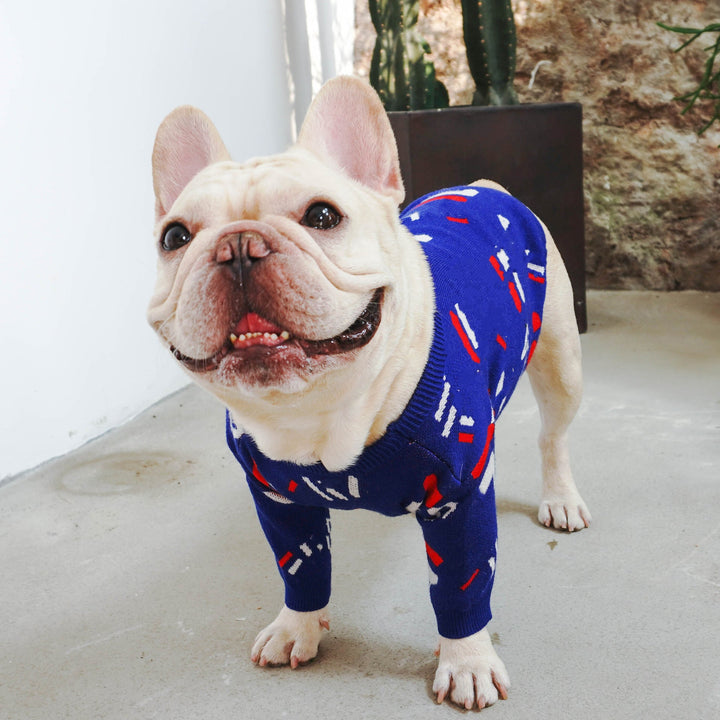The Perfect Pug Pet Sweater for Your Furry Friend