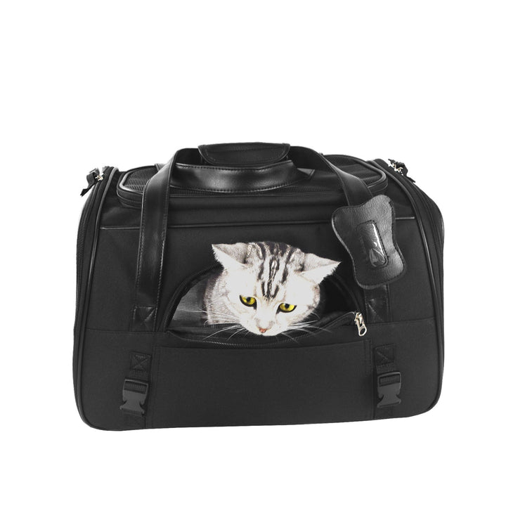 Traveling with Your Pet Made Easy