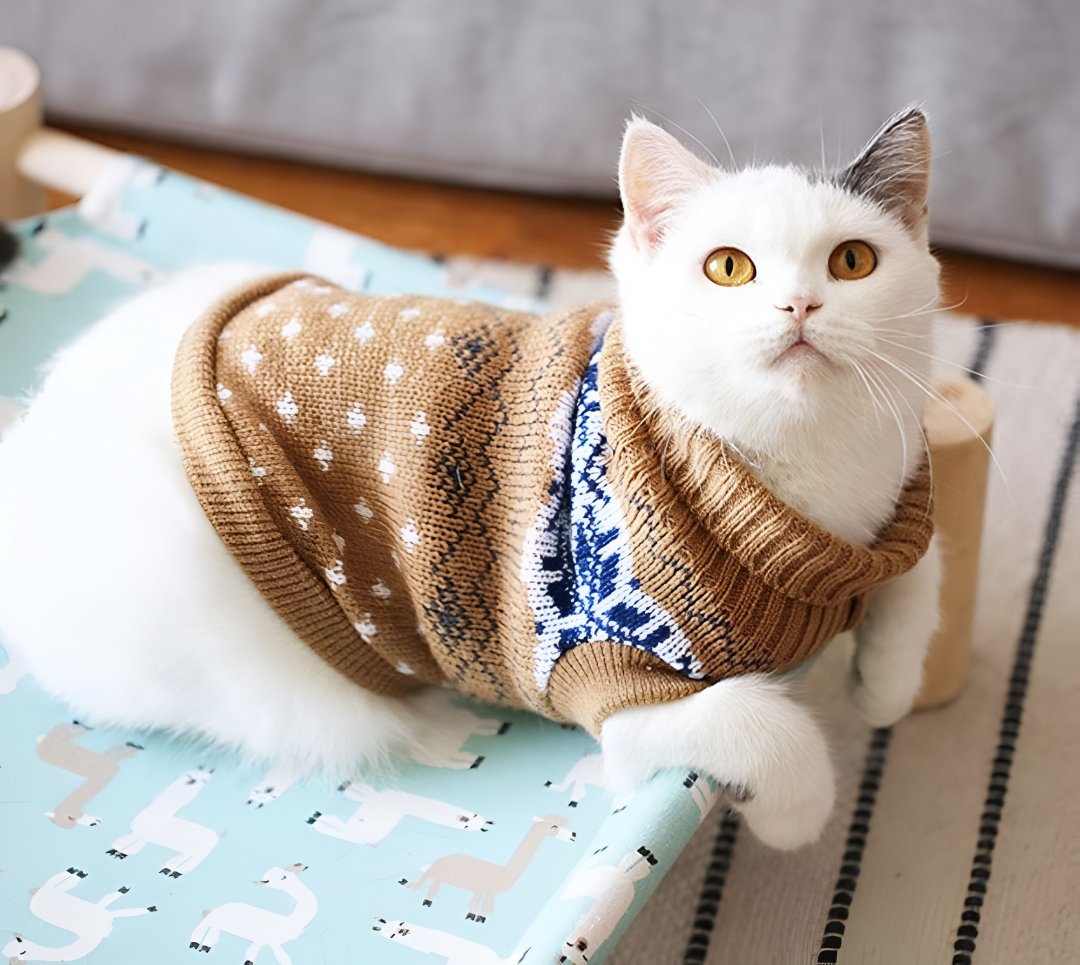 Stylish Clothing and Accessories for Pets