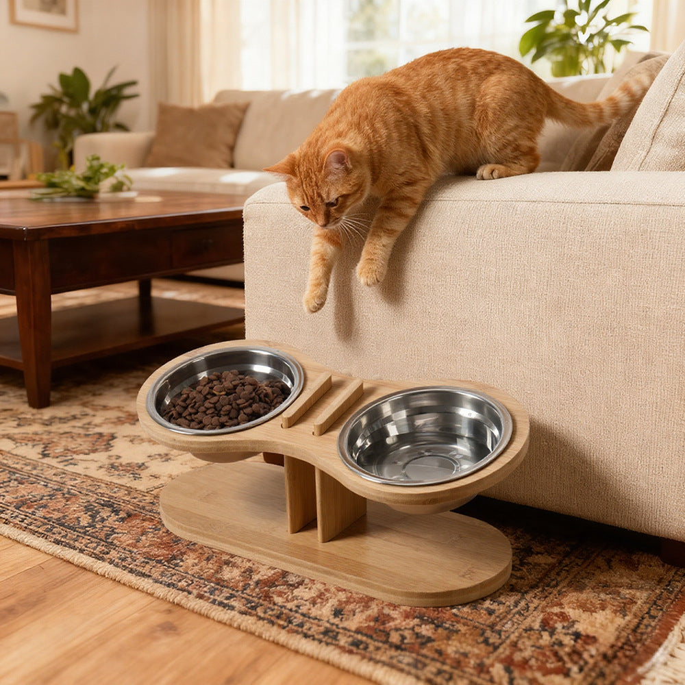 The Purrfect Dining Experience for Your Furry Friends