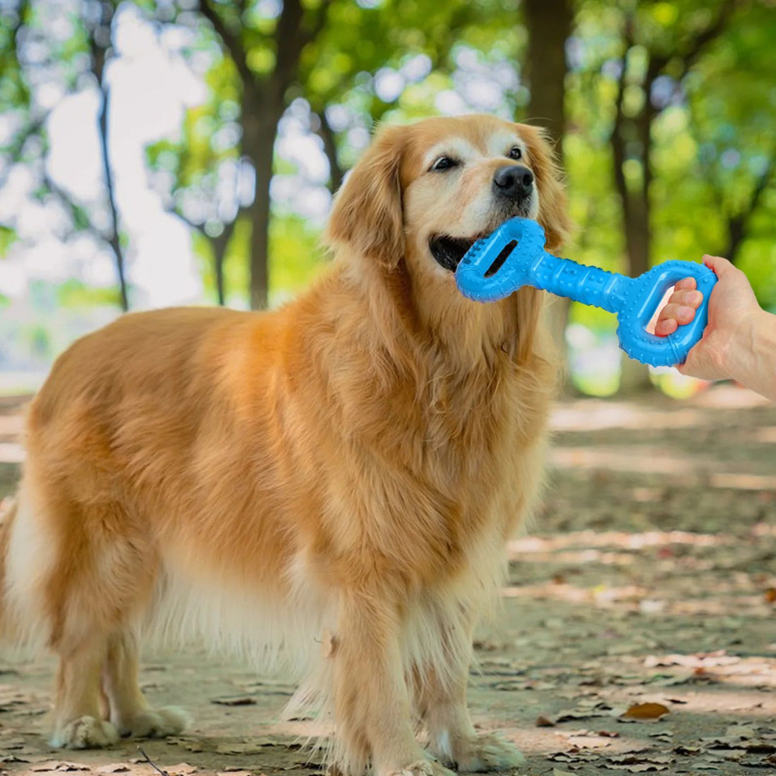 Dog Bones Toy For Aggressive Chewers