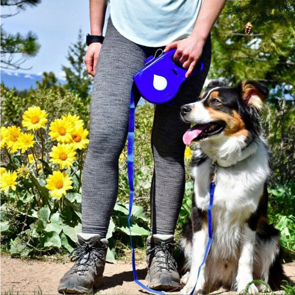 Multifunctional Automatic Pet Leash