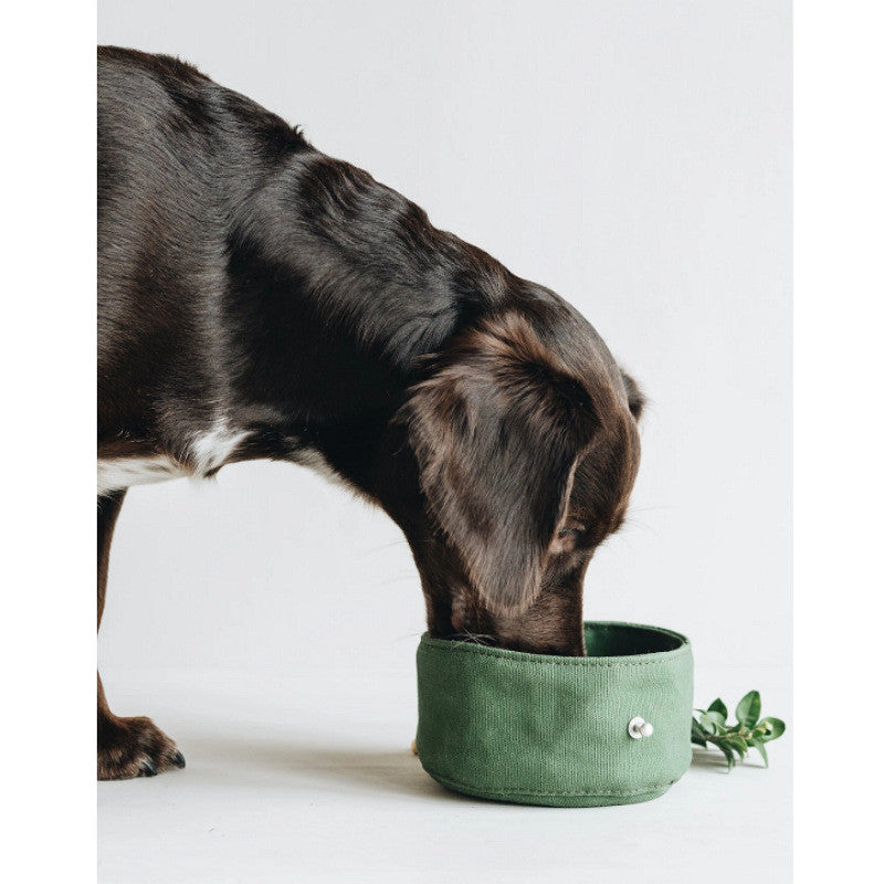 Folding Pet Feeding Bowl