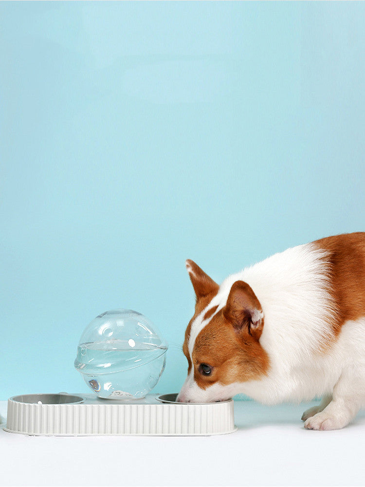 Plastic Pet Automatic Feeder Drinkers