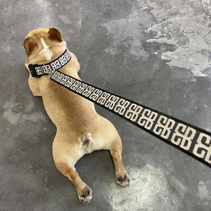 Dog Rope Teddy Golden Retriever
