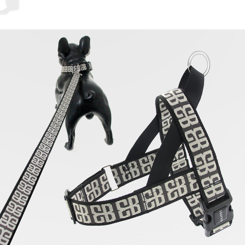 Dog Rope Teddy Golden Retriever