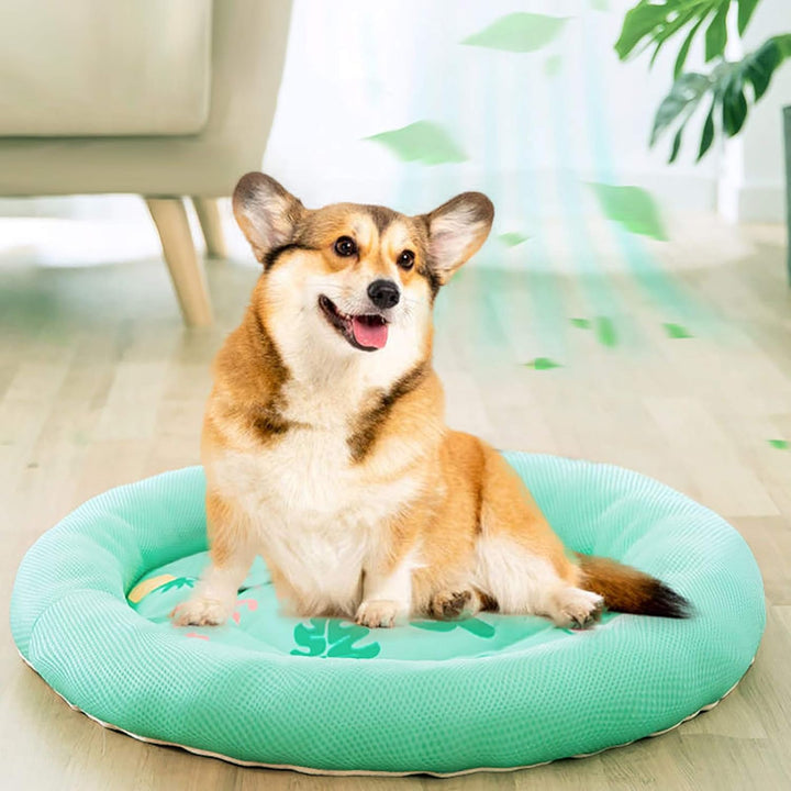 Pet Round Breathable Non-Slip Back Pet Bed