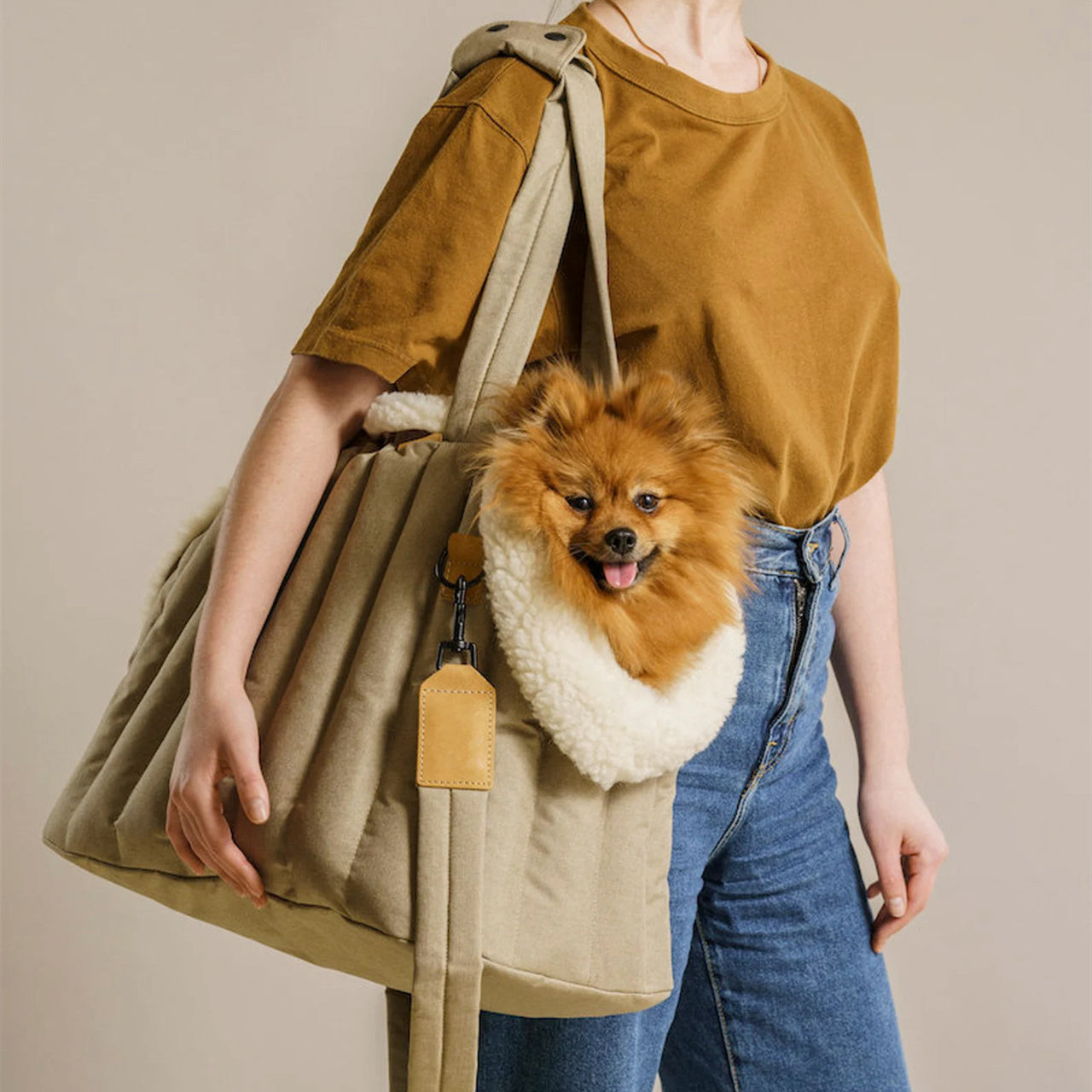 Light Waterproof Dog Out Portable Handbag