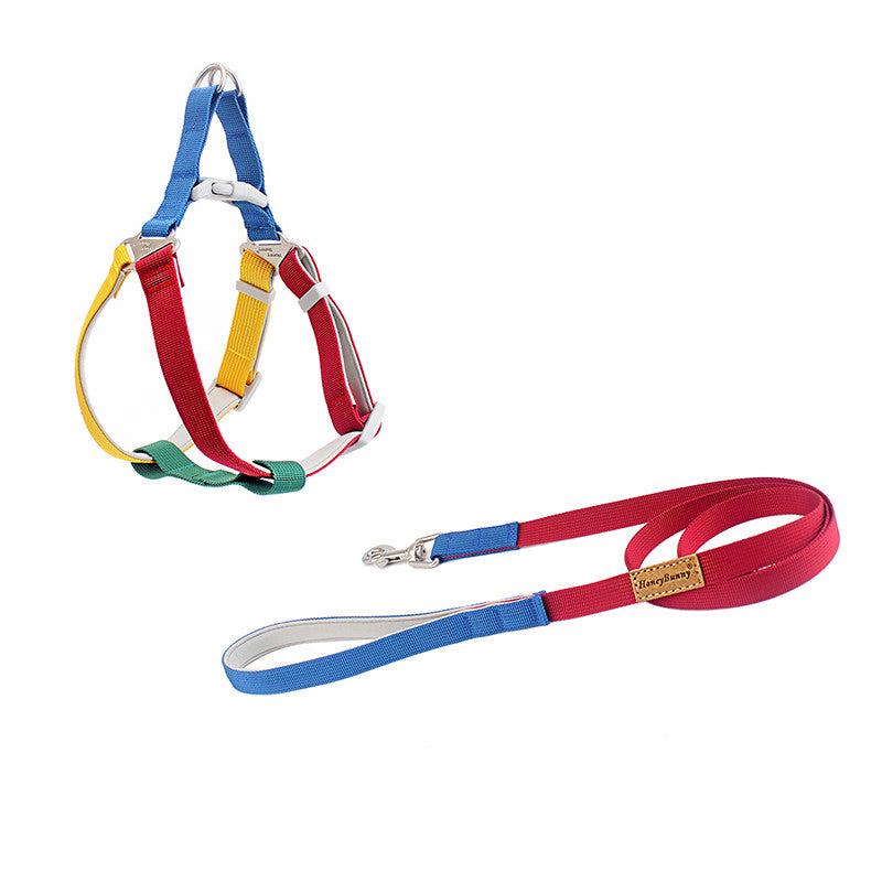 Colorful Outdoor Hand Holding Rope Leash