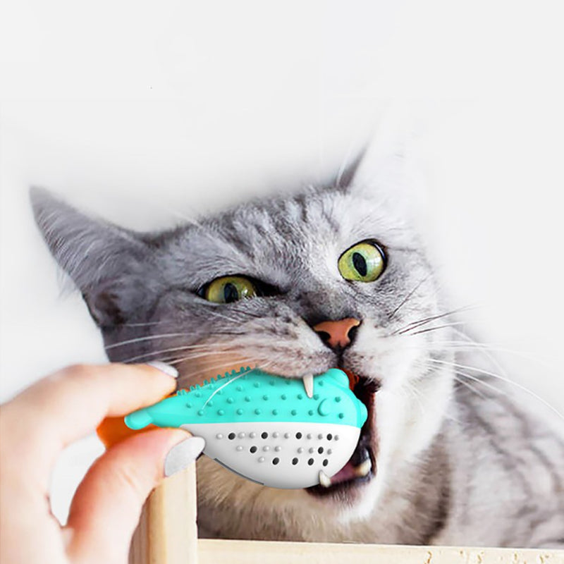 Mint Grabbing Chew Toys Pet Supplies