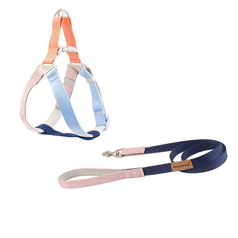 Colorful Outdoor Hand Holding Rope Leash