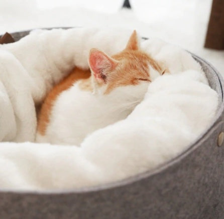 Comfortable Soft Plush Pet Bed