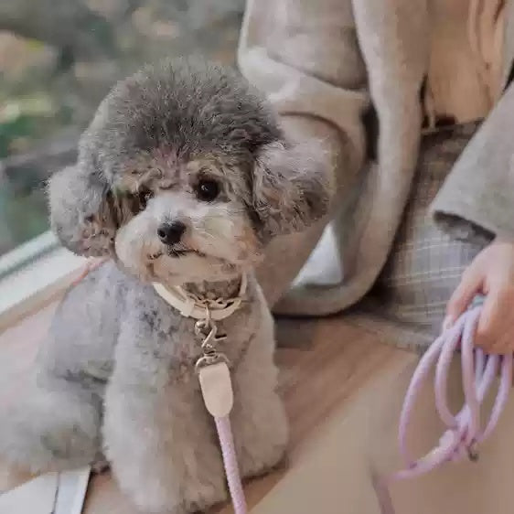 Leather Hand Holding Rope Dog Leash