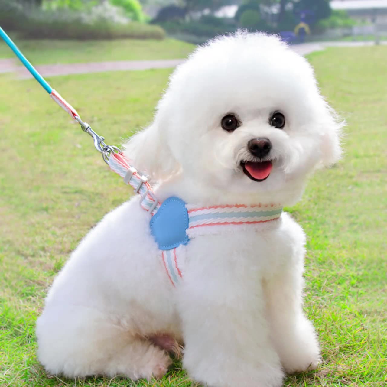 Summer Breathable Corgi Walking Dog Leash