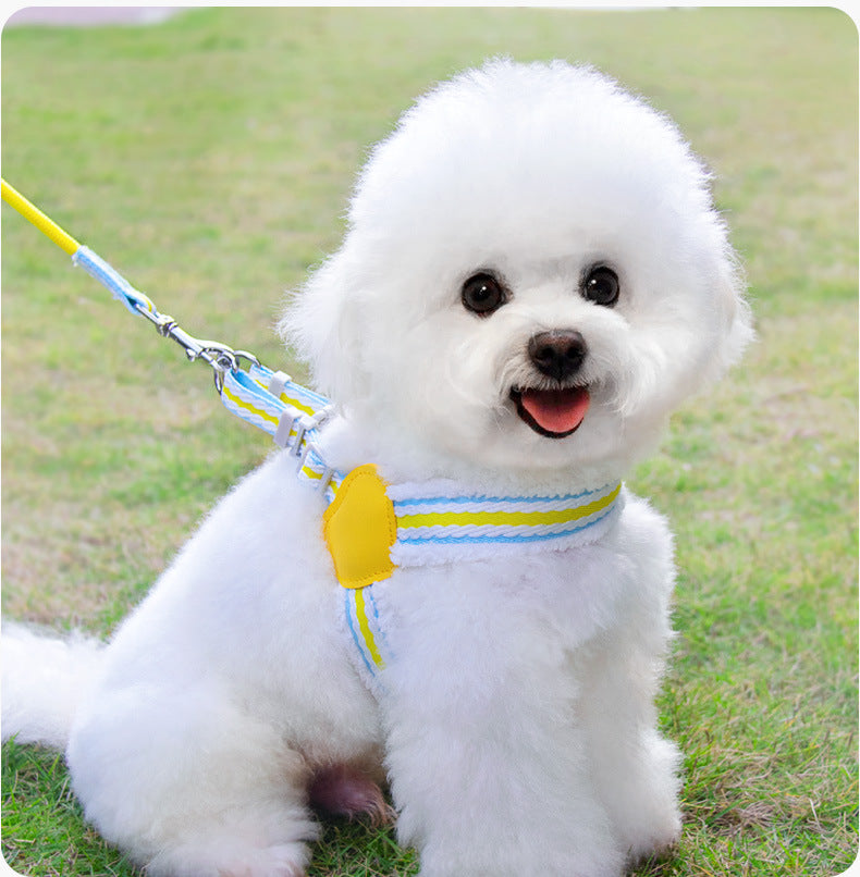 Summer Breathable Corgi Walking Dog Leash