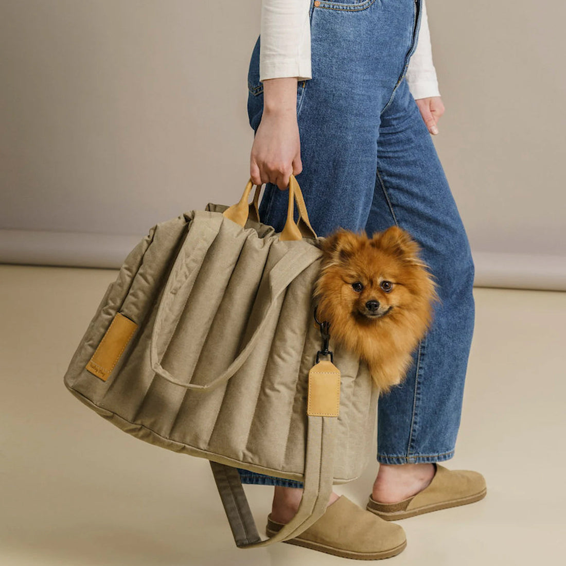 Light Waterproof Dog Out Portable Handbag