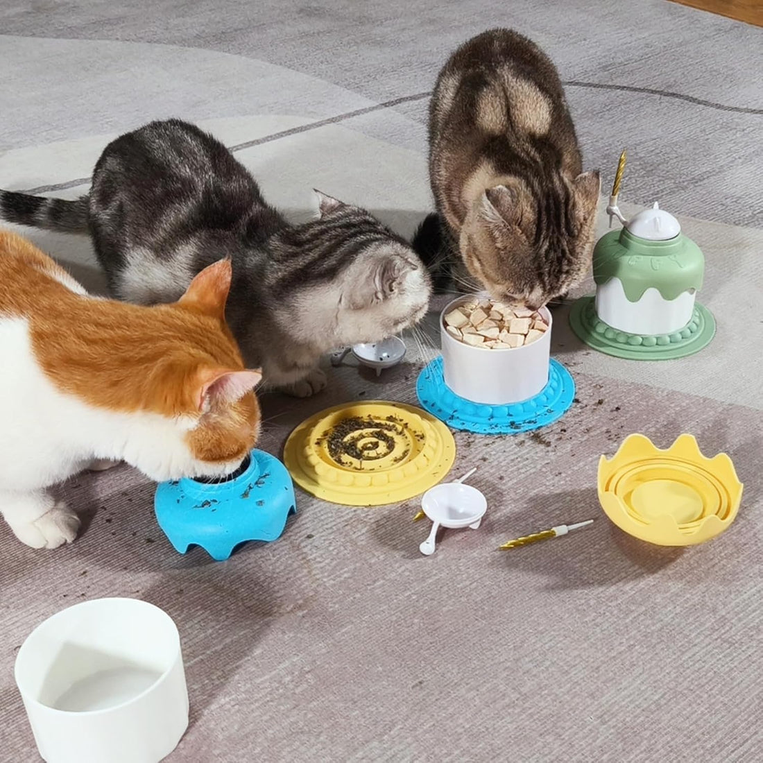Cat Birthday Slow Feeder Bowl
