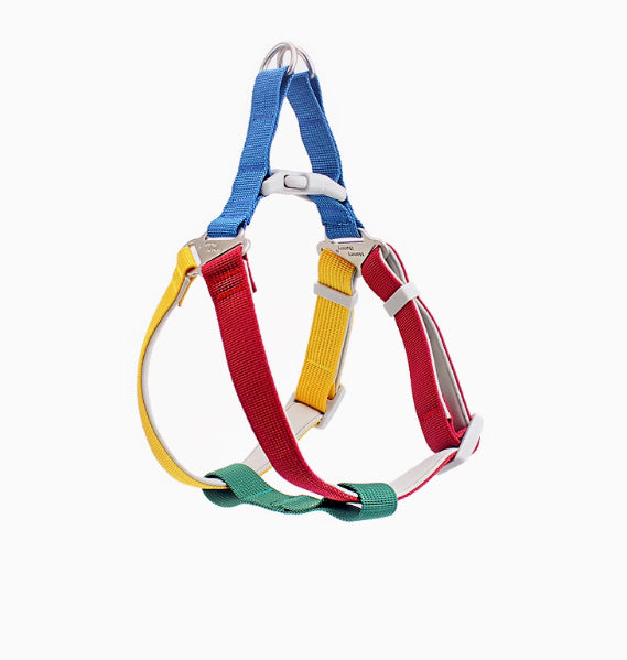 Colorful Outdoor Hand Holding Rope Leash