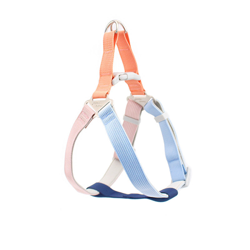 Colorful Outdoor Hand Holding Rope Leash