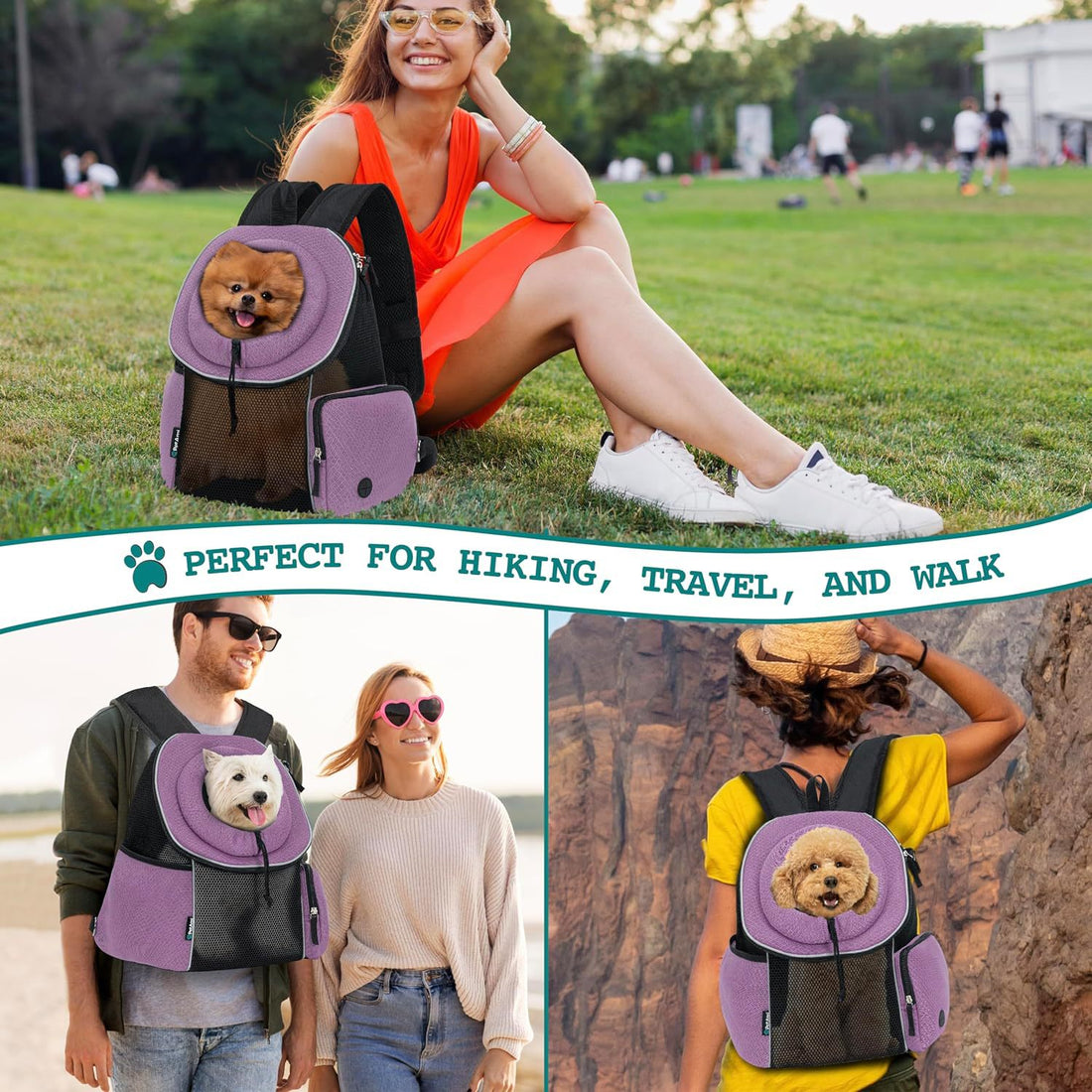 Travel Breathable Outdoor Dog Carrier Bag