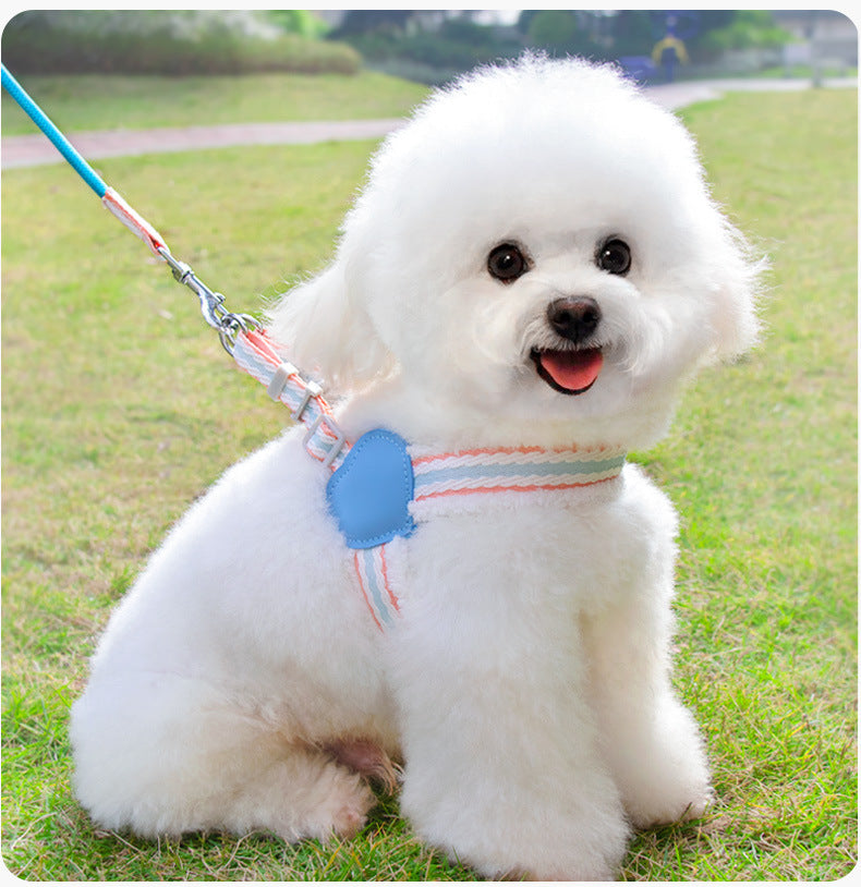 Summer Breathable Corgi Walking Dog Leash