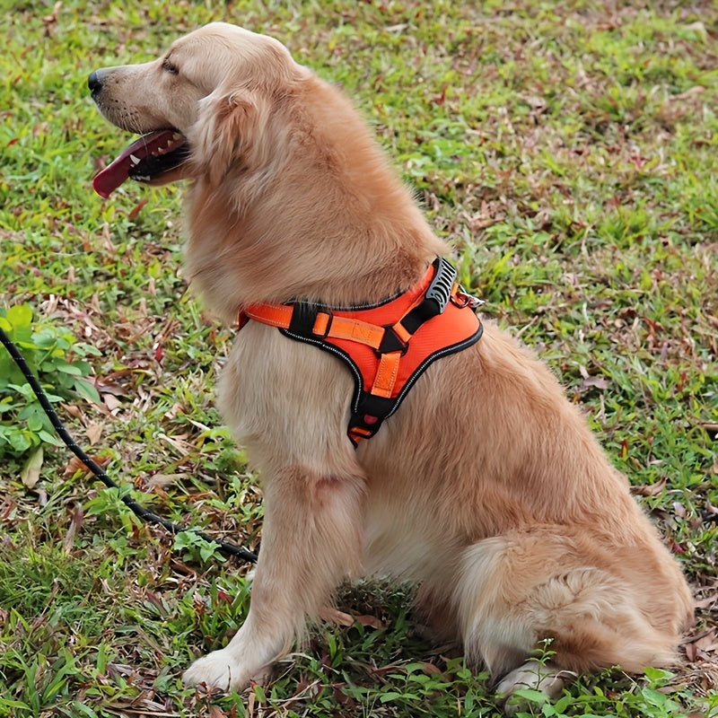 High Quality Dog Leash Strap