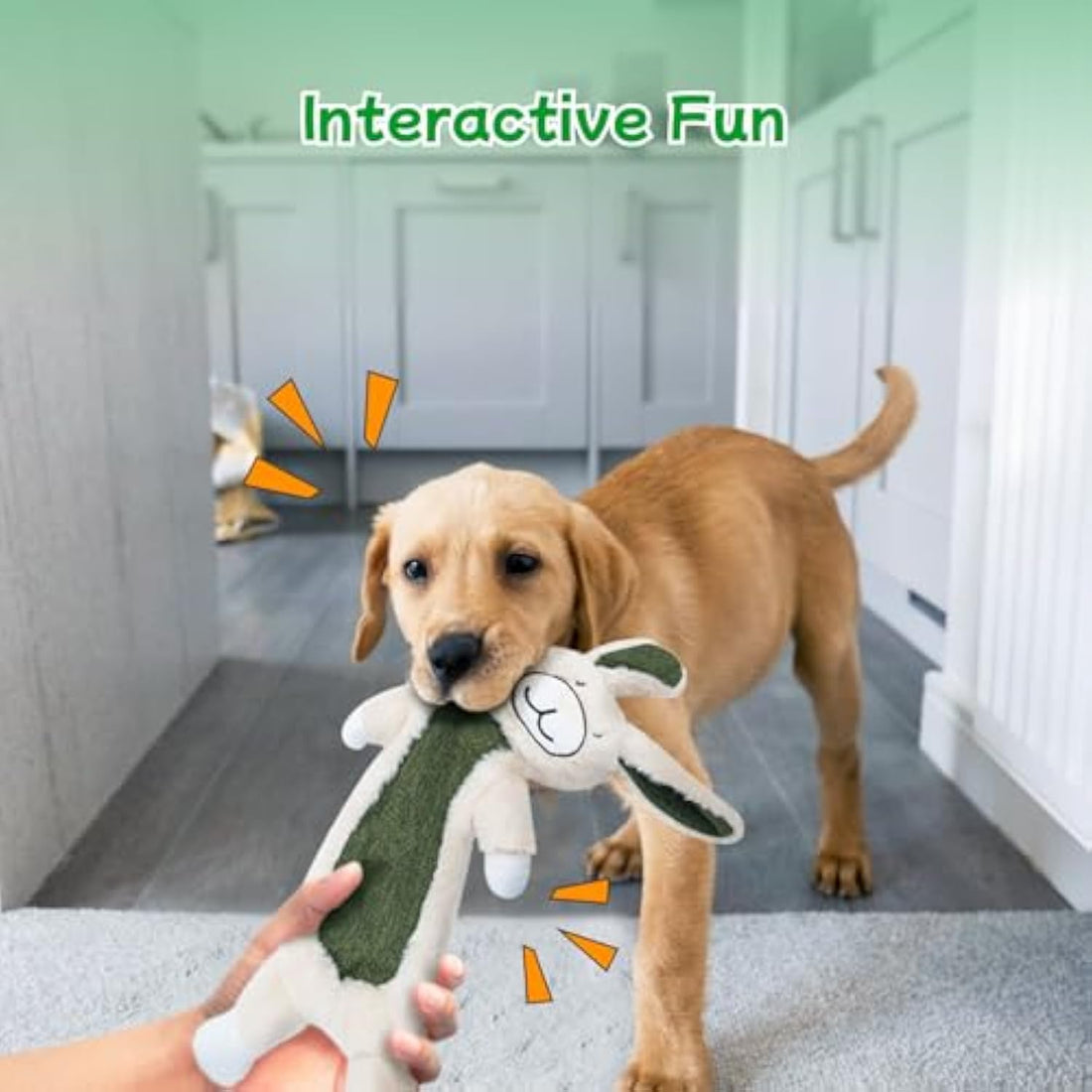 Unbreakable Plush Squeaky Dog Toys