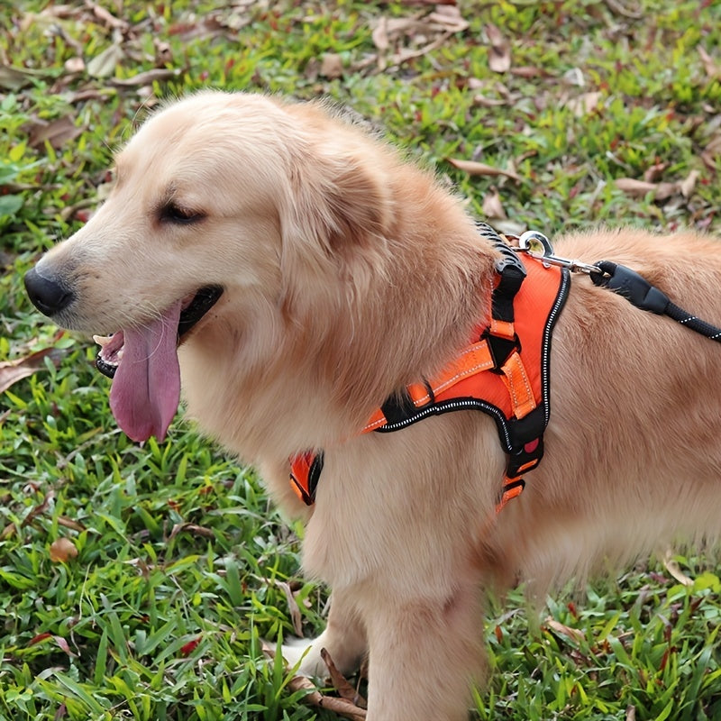 High Quality Dog Leash Strap