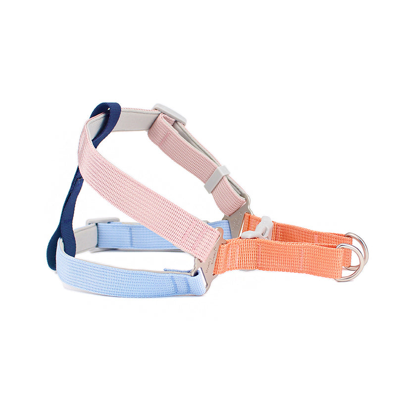 Colorful Outdoor Hand Holding Rope Leash